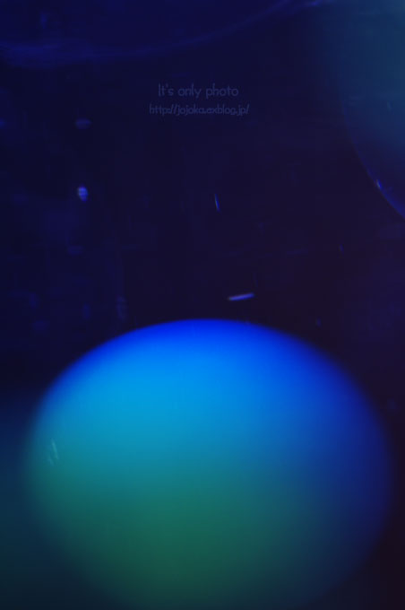 e0008800_13504026.jpg