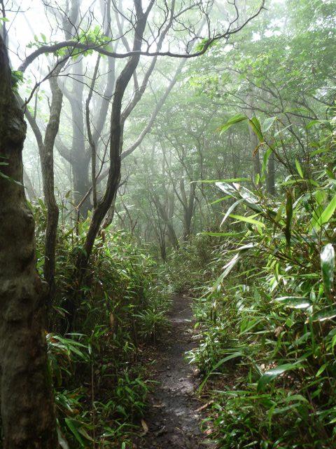 b0025101_045896.jpg