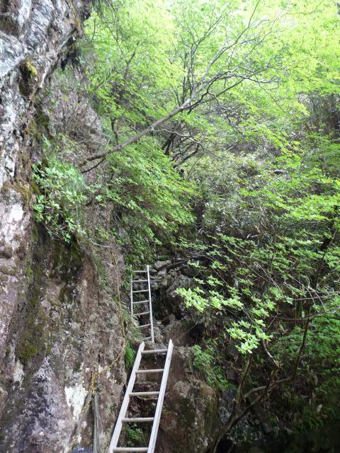 b0025101_0463337.jpg