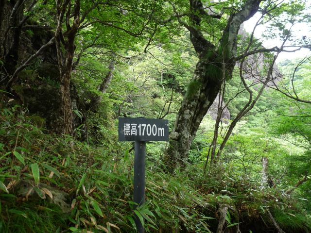 b0025101_046855.jpg