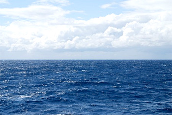 f0061401_13431843.jpg