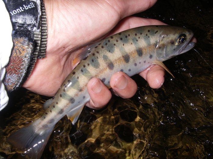 c0180802_2321615.jpg
