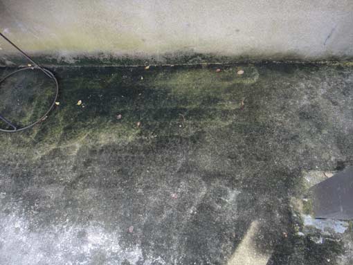 c0105306_10553877.jpg