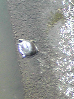 e0072606_13463582.jpg