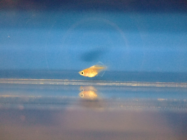 f0152308_2081629.jpg