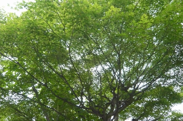 f0221708_9121342.jpg