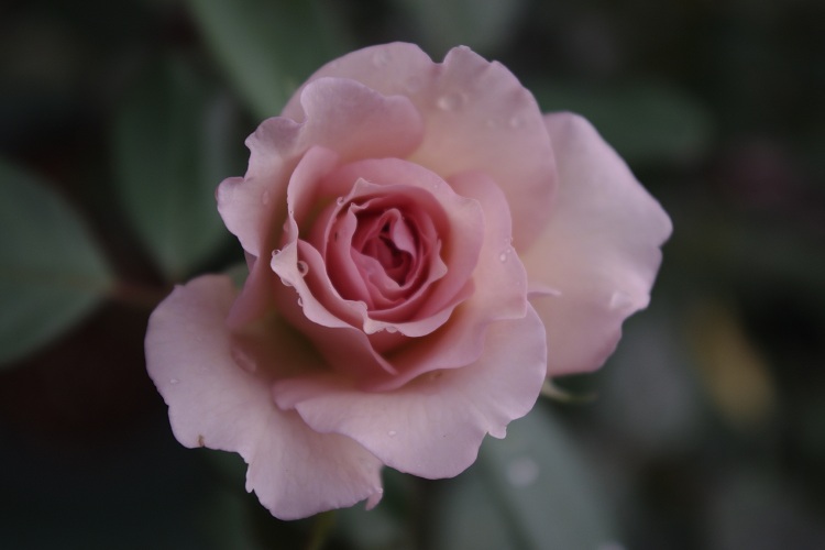 c0147909_7341078.jpg