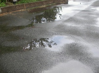 c0190010_2271276.jpg