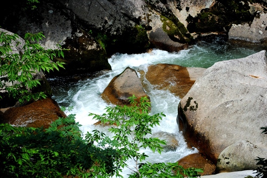 b0209919_06168.jpg