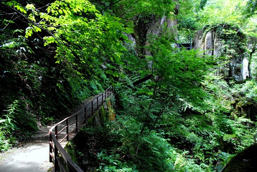 b0209919_062430.jpg