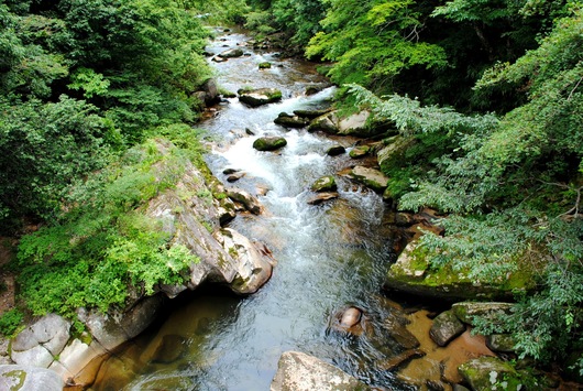 b0209919_071610.jpg