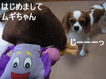 f0214121_9154920.jpg