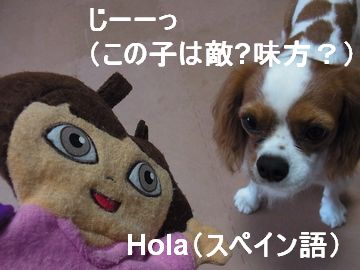 f0214121_9183071.jpg