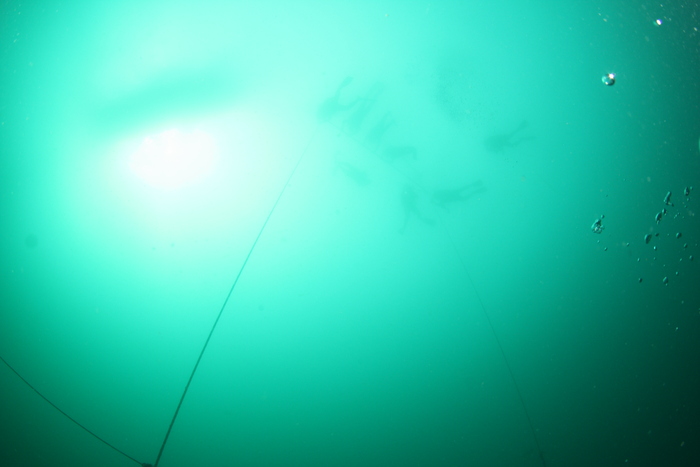 c0034029_1132685.jpg