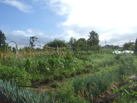 b0137932_14351815.jpg