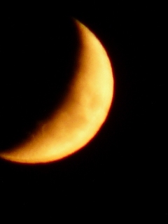 c0100534_19175971.jpg