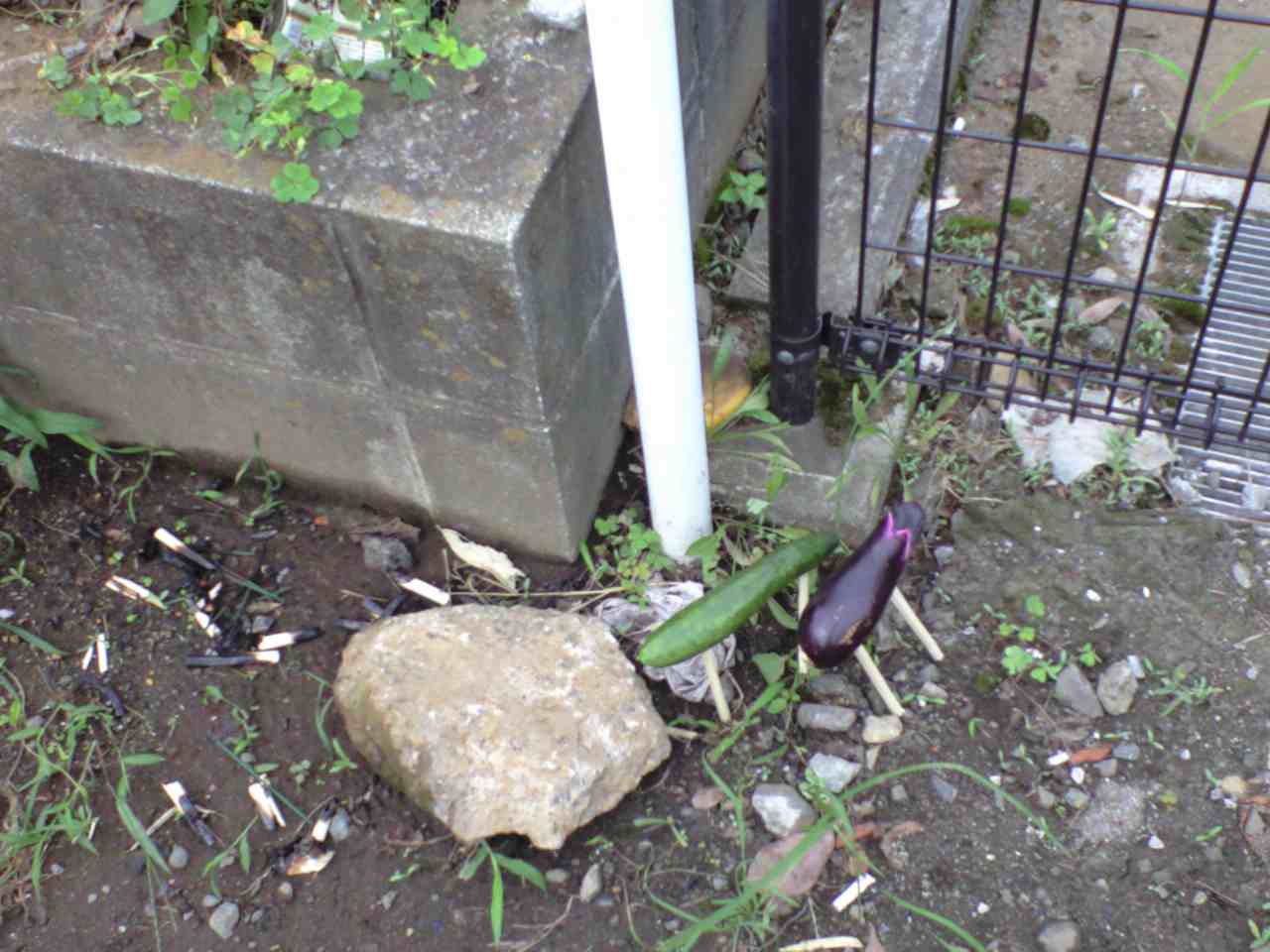 e0024736_8314238.jpg
