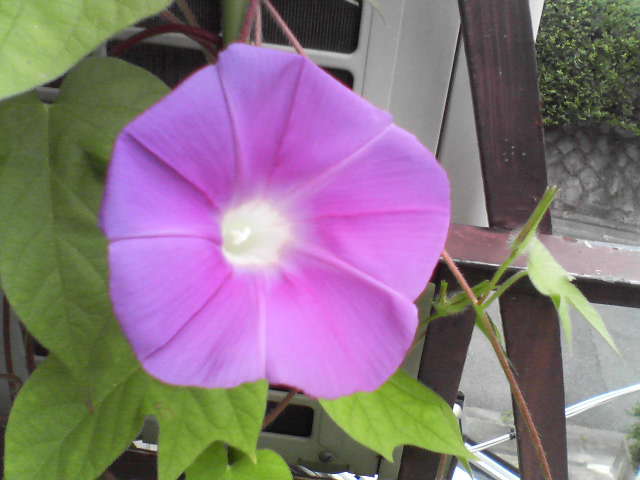f0237037_13273024.jpg