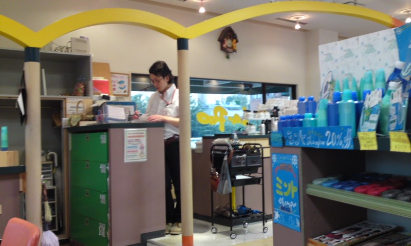 d0088039_1926135.jpg