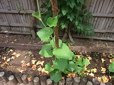 b0019140_14304332.jpg