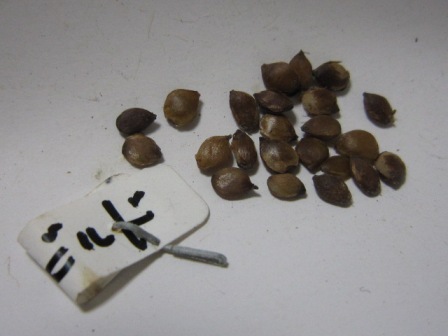 c0025140_016635.jpg