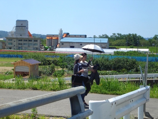 e0119840_20515933.jpg
