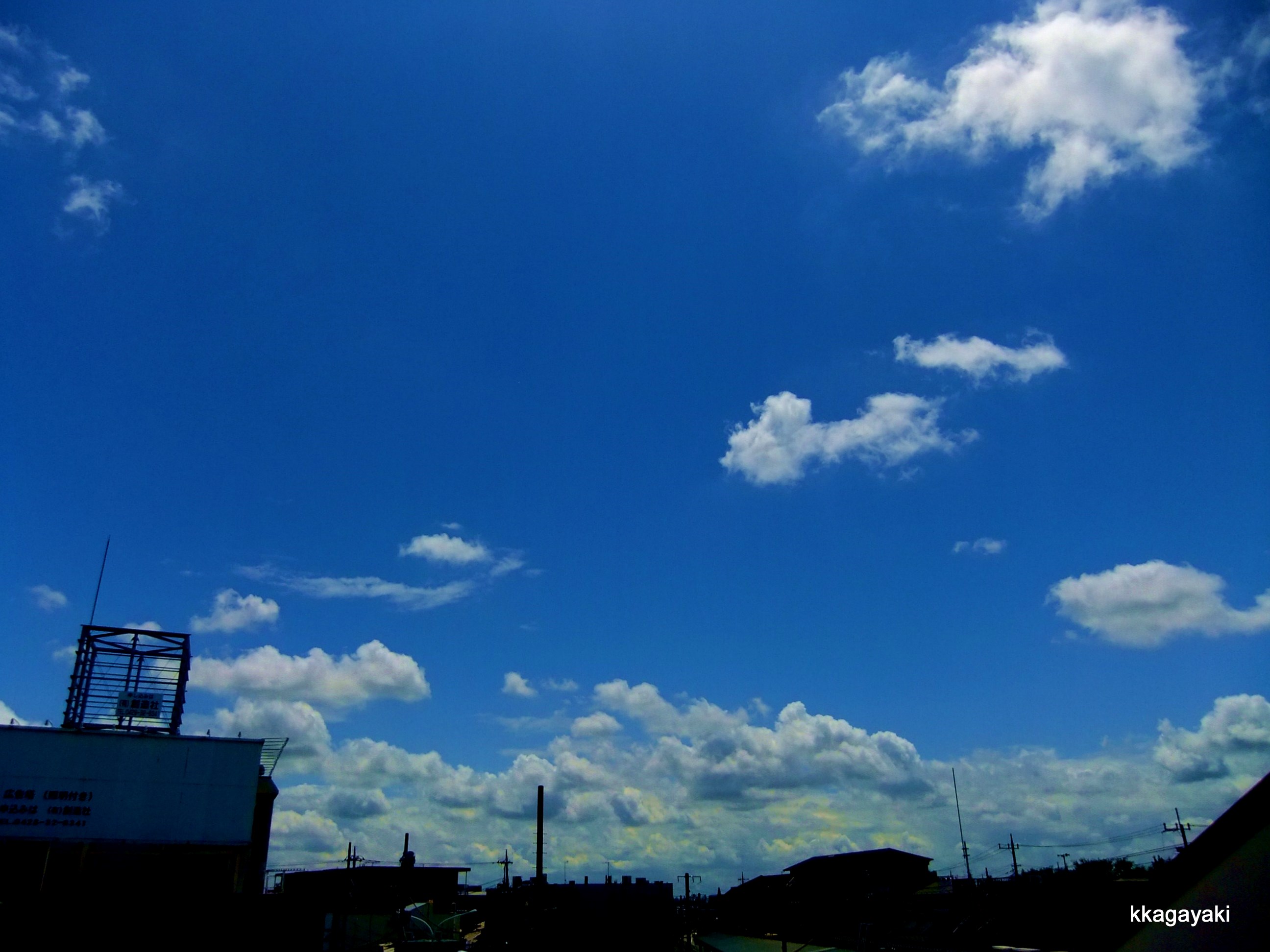 e0206242_1256875.jpg