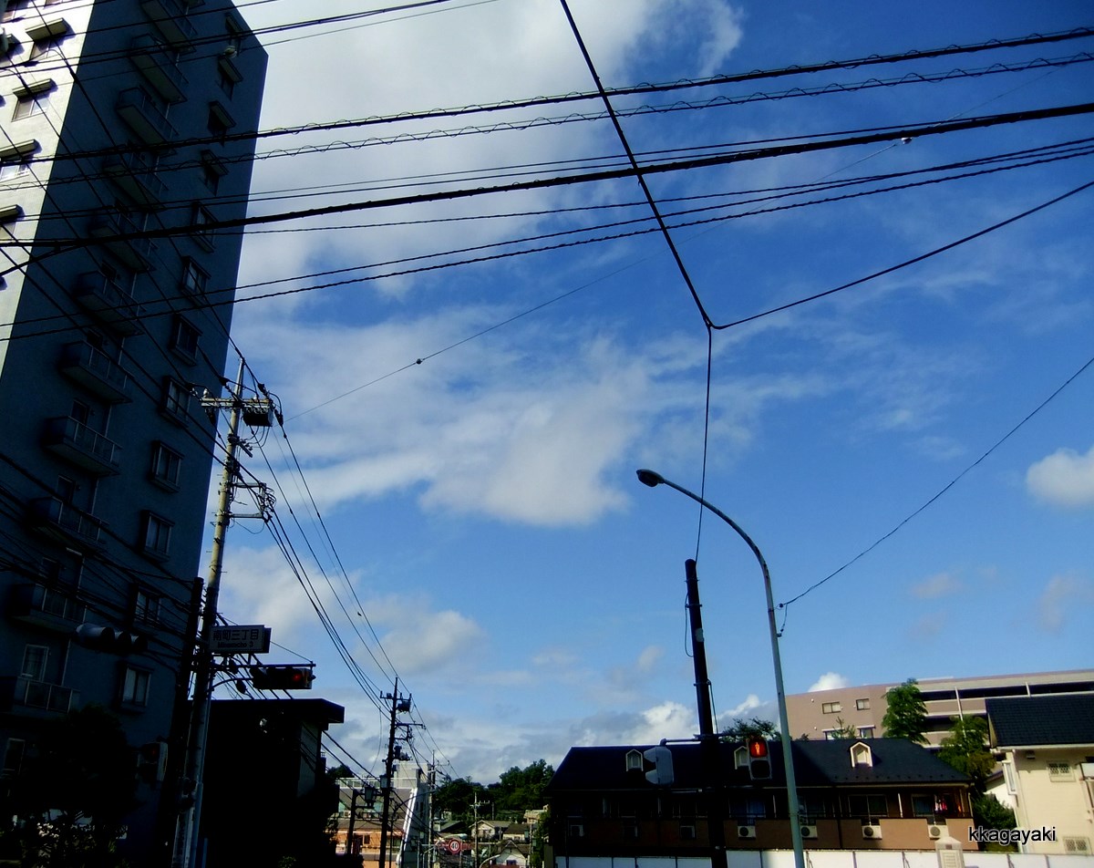 e0206242_12593825.jpg
