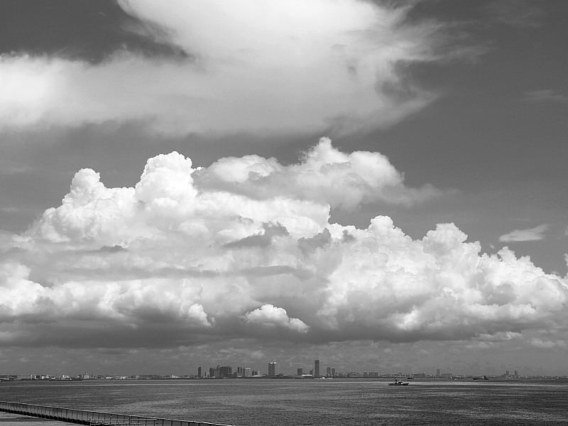 a0106043_23165976.jpg
