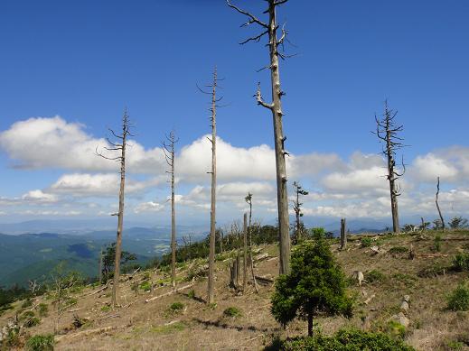 e0164643_15125839.jpg