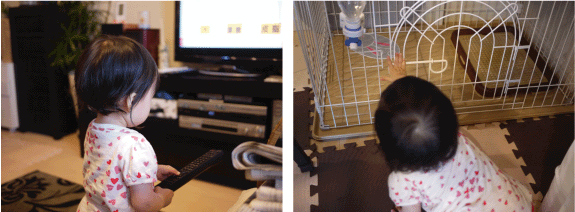 b0182846_21361352.gif