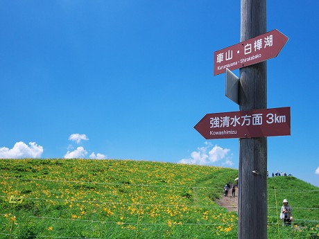 c0057946_23173172.jpg