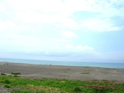 a0072247_7155183.jpg