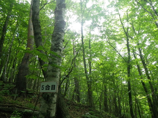 c0042847_20149100.jpg