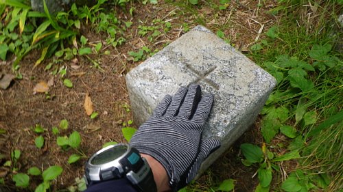c0042847_20162570.jpg