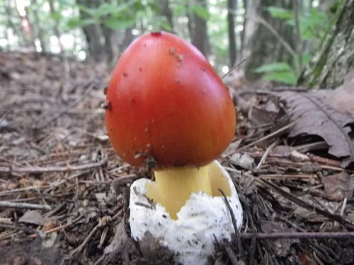 c0042847_20547.jpg