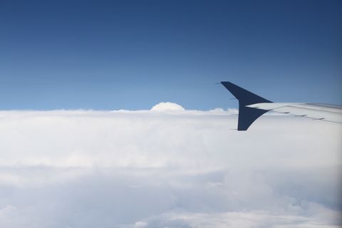 a0090451_2331889.jpg
