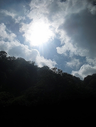 f0009451_824151.jpg