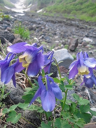 f0009451_8315378.jpg