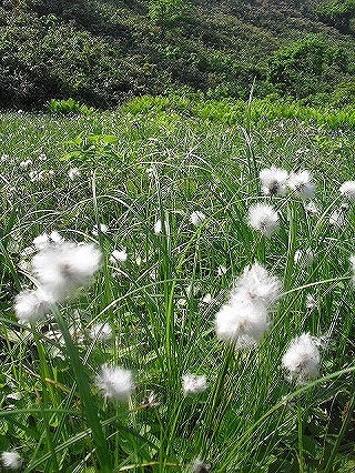f0009451_833736.jpg