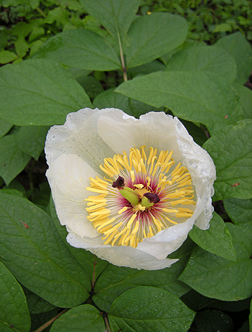 a0001354_214267.jpg