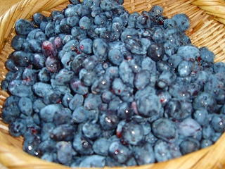 e0004756_20553329.jpg