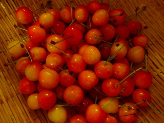 e0004756_2141897.jpg