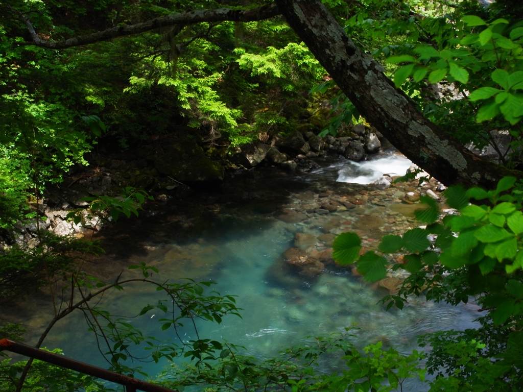 e0223456_92333.jpg