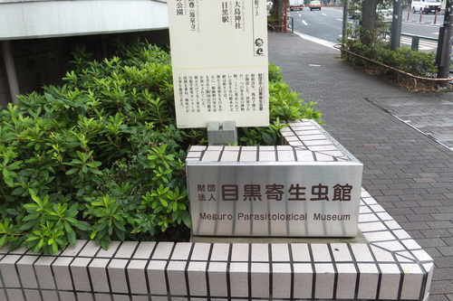 f0203260_21144494.jpg