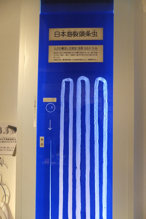 f0203260_21153728.jpg