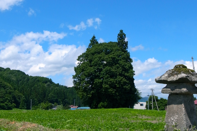 c0009461_2054149.jpg