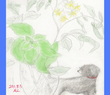a0211669_2044833.gif