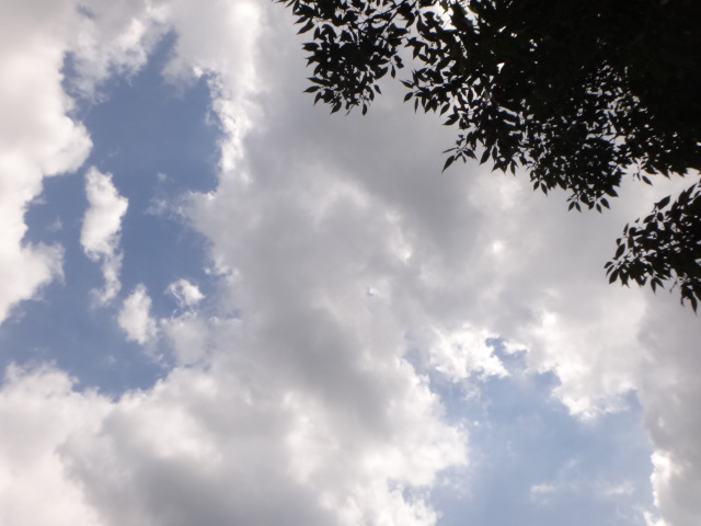 c0225669_0303654.jpg