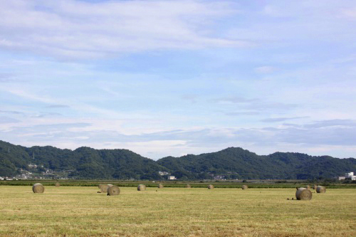 f0232876_21585014.jpg